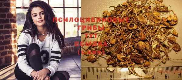 PSILOCYBIN Вязьма