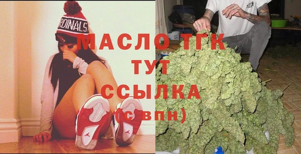 скорость Вяземский
