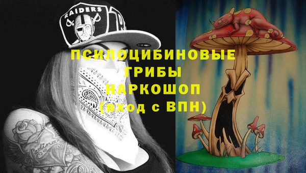 PSILOCYBIN Вязьма