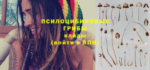 PSILOCYBIN Вязьма