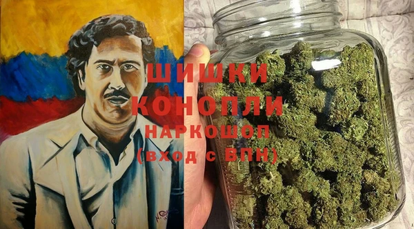 PSILOCYBIN Вязьма