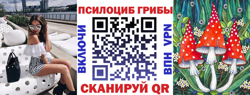 Псилоцибиновые грибы Psilocybine cubensis Горбатов